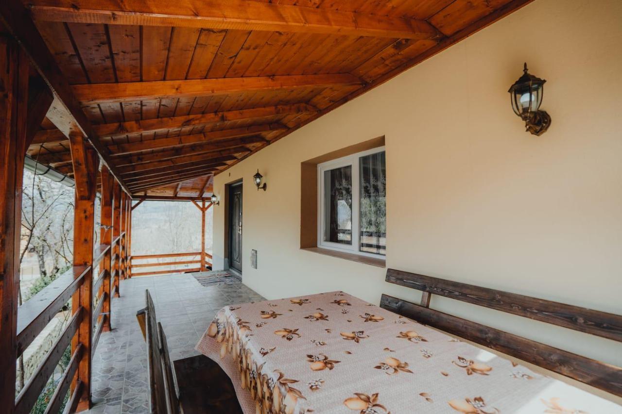 Casa Andreea Si Grigore Ursu Borsa  Exterior photo